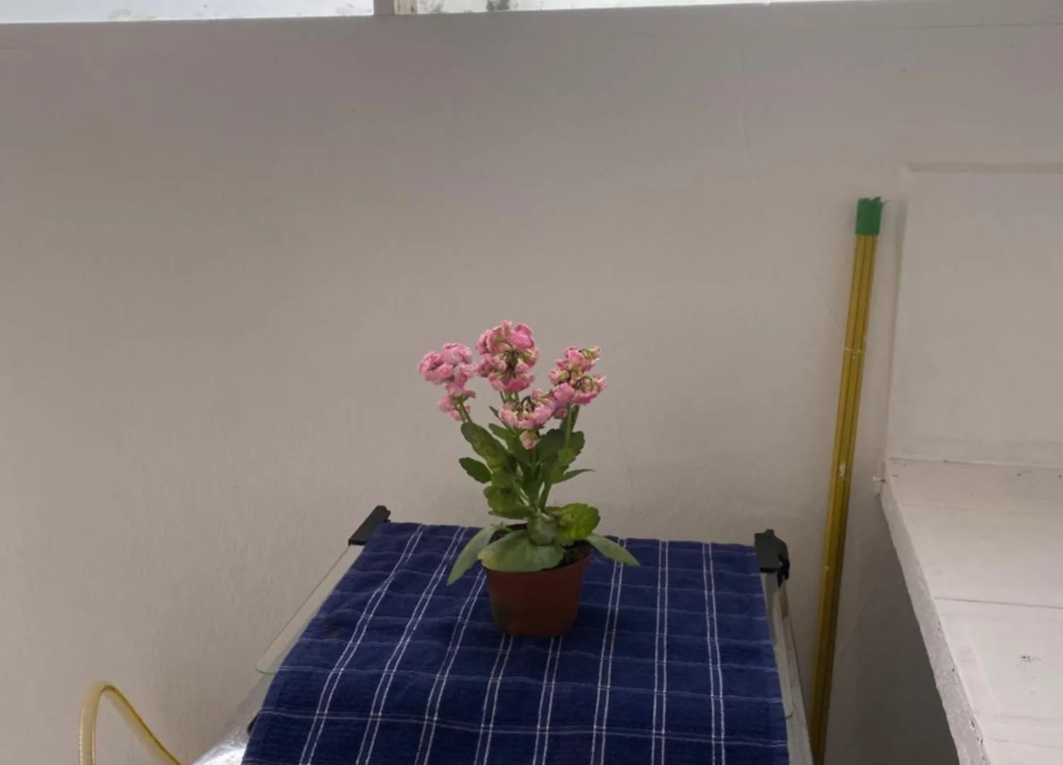 Antonia Hospedaria 3 Búzios 아파트